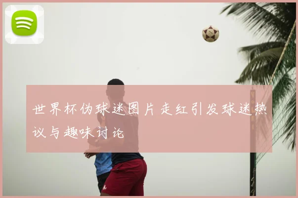 世界杯伪球迷图片走红引发球迷热议与趣味讨论