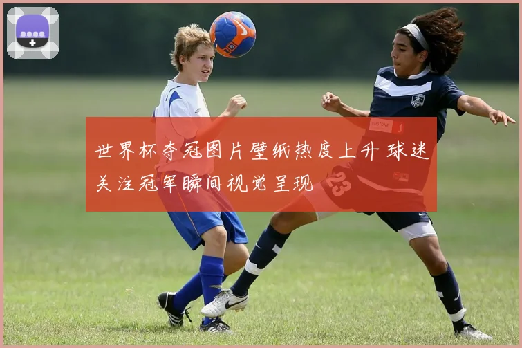 世界杯夺冠图片壁纸热度上升 球迷关注冠军瞬间视觉呈现