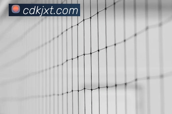 世界杯app官网品牌故事